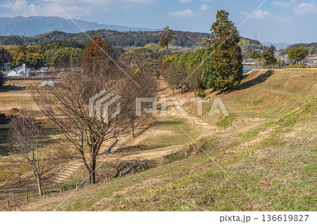 キトラの田んぼ　国営飛鳥歴史公園キトラ古墳周辺地区　奈良県明日香村 136619827