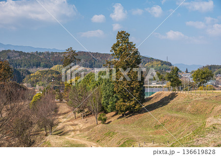 キトラの田んぼ 国営飛鳥歴史公園キトラ古墳周辺地区 奈良県明日香村 キトラの田んぼ 国営飛鳥歴史公園キトラ古墳周辺地区 奈良県明日香村 136619828