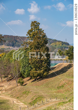 キトラの田んぼ 国営飛鳥歴史公園キトラ古墳周辺地区 奈良県明日香村 キトラの田んぼ 国営飛鳥歴史公園キトラ古墳周辺地区 奈良県明日香村 136619829