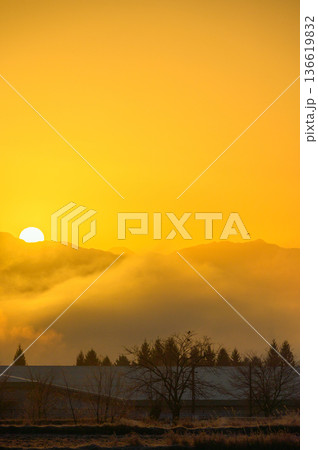 日の出と雲海【安曇野市】 136619832