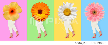 Collage of same female legs with different flowers Collage of same female legs with different flowers 136619868