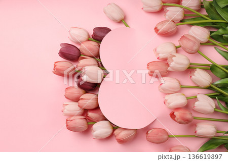 A vibrant display of tulips on a pink background for Women's Day 136619897