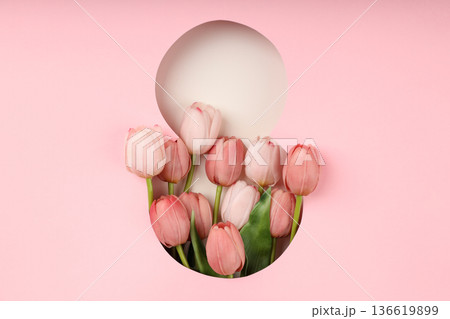 Tulips on a pink background, symbolizing spring Tulips on a pink background, symbolizing spring 136619899