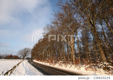 road in winter 136620229