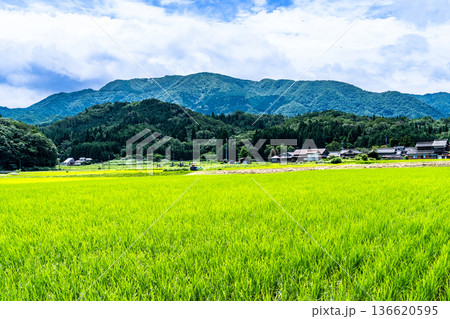 北側から見た夏の津黒山1　岡山県真庭市 136620595
