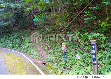夏の津黒山 中央登山口 岡山県真庭市 夏の津黒山 中央登山口 岡山県真庭市 136620598