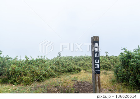 夏の津黒山　朝霧の山頂　岡山県真庭市 136620614