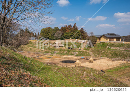国営飛鳥歴史公園キトラ古墳周辺地区 五穀の畑 奈良県 国営飛鳥歴史公園キトラ古墳周辺地区 五穀の畑 奈良県 136620623