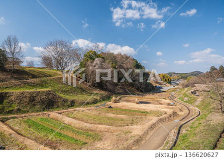 国営飛鳥歴史公園キトラ古墳周辺地区 五穀の畑 奈良県 国営飛鳥歴史公園キトラ古墳周辺地区 五穀の畑 奈良県 136620627