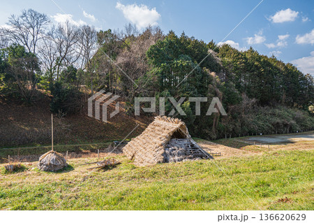 国営飛鳥歴史公園キトラ古墳周辺地区　五穀の畑　奈良県 136620629