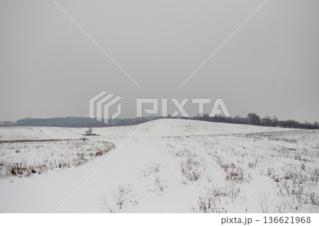Peaceful winter nature scene with snow covered meadow. 136621968