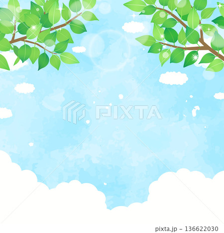 新緑と青空の背景1_正方形 新緑と青空の背景1_正方形 136622030