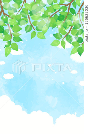 新緑と青空の背景3_縦 新緑と青空の背景3_縦 136622036