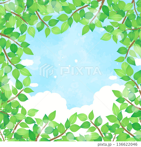 新緑と青空の背景6_正方形 136622046