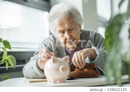 Senior woman planning finances and savings for retirement. Senior woman planning finances and savings for retirement. 136622120
