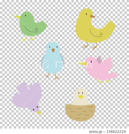 Illustration set of colorful little birds in various poses Illustration set of colorful little birds in various poses 136622229