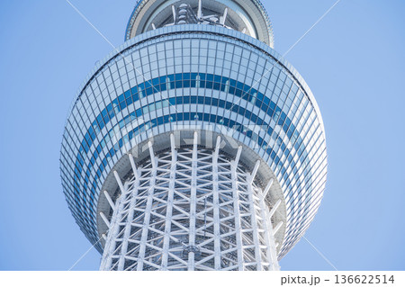 「東京都」青空と東京スカイツリー　墨田区 136622514