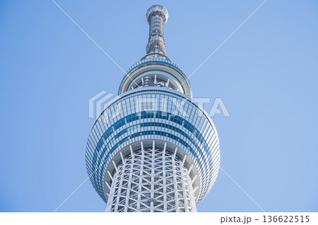「東京都」青空と東京スカイツリー 墨田区 「東京都」青空と東京スカイツリー 墨田区 136622515
