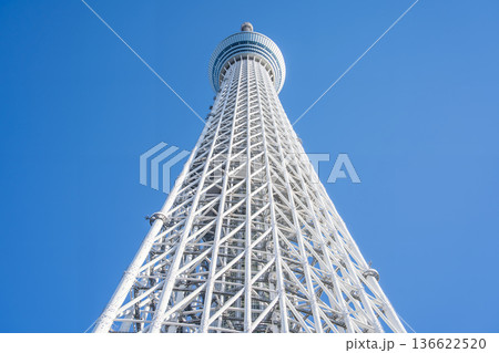 「東京都」青空と東京スカイツリー 墨田区 「東京都」青空と東京スカイツリー 墨田区 136622520