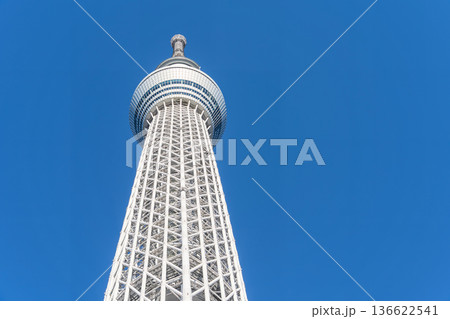 「東京都」青空と東京スカイツリー 墨田区 「東京都」青空と東京スカイツリー 墨田区 136622541