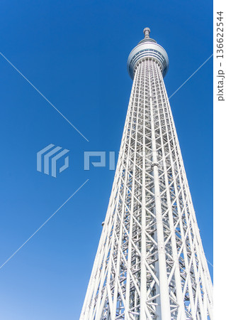 「東京都」青空と東京スカイツリー 墨田区 「東京都」青空と東京スカイツリー 墨田区 136622544