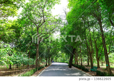 緑の多い公園の風景 136622605