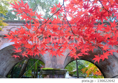 秋の南禅寺の水路閣と紅葉 136622642