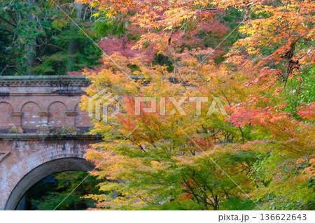 秋の南禅寺の水路閣と紅葉 秋の南禅寺の水路閣と紅葉 136622643