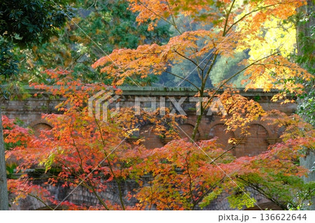 秋の南禅寺の水路閣と紅葉 136622644