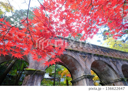 秋の南禅寺の水路閣と紅葉 136622647