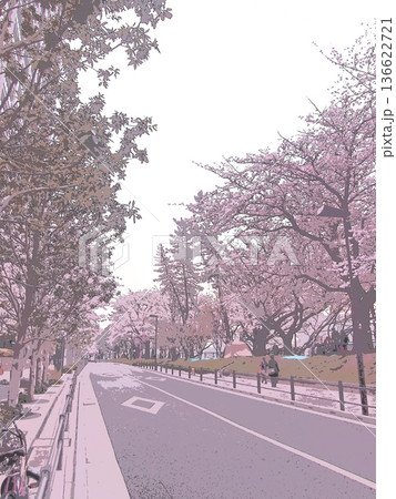 お堀沿いに続く桜並木道の風景。イラスト風の写真。 お堀沿いに続く桜並木道の風景。イラスト風の写真。 136622721