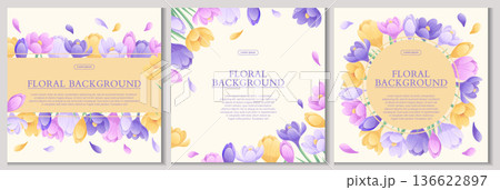 A set of colorful backgrounds with beautiful crocuses. The concept of spring, wedding, March 8th, mother's day, birthday. Vector illustration for the design of posters, flyers, postcards, invitations 136622897