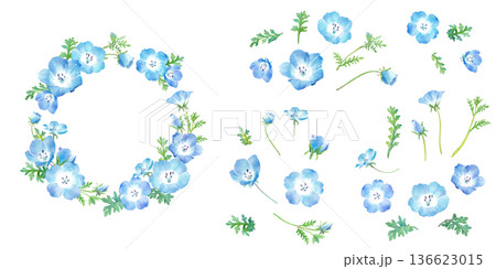 ネモフィラの水彩イラストで構成した、円形装飾フレームと構成要素のセット 透過背景 136623015
