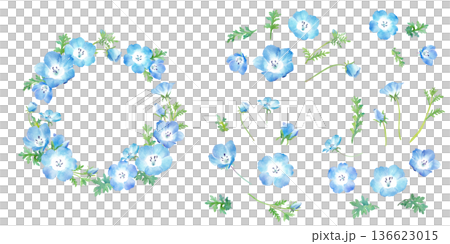 ネモフィラの水彩イラストで構成した、円形装飾フレームと構成要素のセット 透過背景 136623015