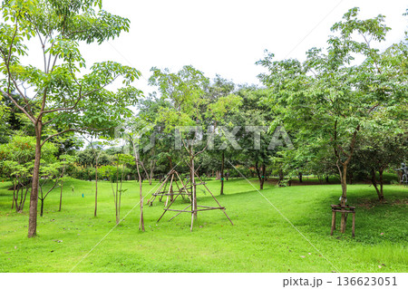 緑の多い公園の風景 136623051