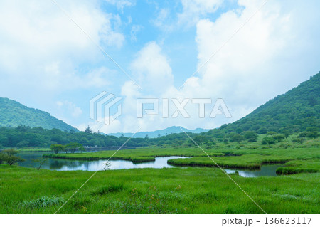 赤城山の覚満淵 湿原に広がる緑と水辺の自然風景  136623117