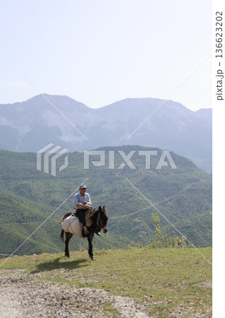 Man leading donkey. Donkey sunny mountains. High quality photo Man leading donkey. Donkey sunny mountains. High quality photo 136623202