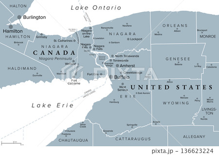 Finger Lakes region in the US state of New York, gray political map. Group of eleven long, narrow lakes. The major Finger Lakes are Seneca, Cayuga, Skaneateles, Owasco, Keuka, and Canandaigua. Vector 136623224