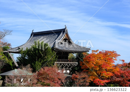 紅葉の善峰寺 136623322