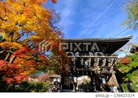 紅葉の善峰寺 紅葉の善峰寺 136623324