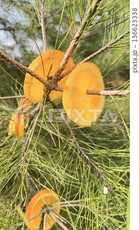 Christmas tree decoration idea with oranges. High quality 4k footage 136623338