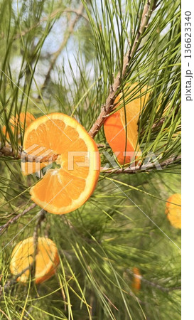 Christmas tree decoration idea with oranges. High quality 4k footage 136623340