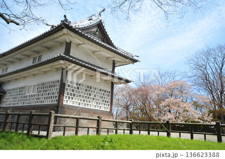 金沢城の桜 136623388