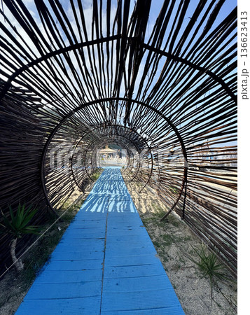 Blue Beach Trail Under Canopy. High quality photo Blue Beach Trail Under Canopy. High quality photo 136623413