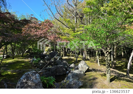 秋の濁川公園で見られる池の風景(新潟県新潟市) 秋の濁川公園で見られる池の風景(新潟県新潟市) 136623537