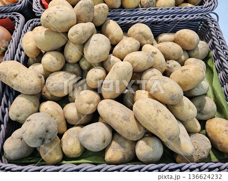 大量のジャガイモ 大量のジャガイモ 136624232