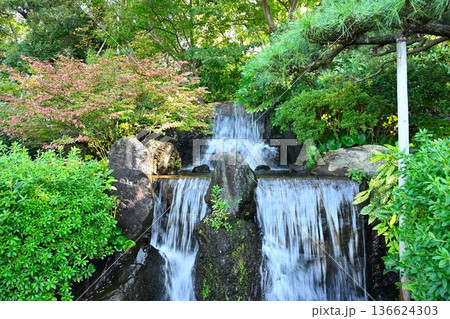 秋の天寿園で見られる中国庭園の風景と滝(新潟県新潟市) 秋の天寿園で見られる中国庭園の風景と滝(新潟県新潟市) 136624303