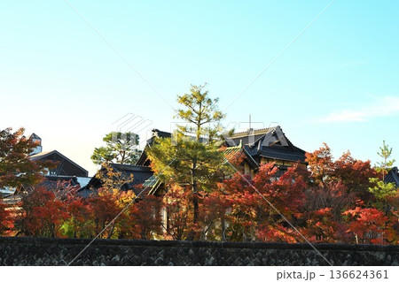 越路もみじ園に広がる紅葉の風景(新潟県長岡市) 越路もみじ園に広がる紅葉の風景(新潟県長岡市) 136624361