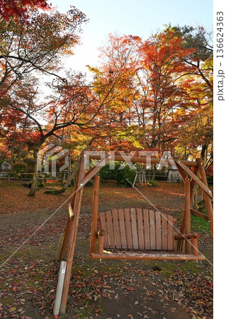越路もみじ園に広がる紅葉の風景（新潟県長岡市） 136624363