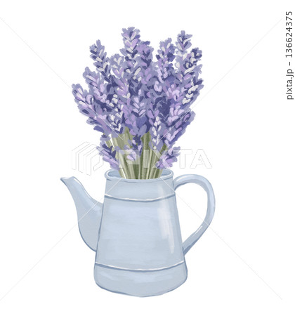 Watercolour lavender bouquet in rustic pot. Purple flower bunch with botanical elegance isolated on white background Watercolour lavender bouquet in rustic pot. Purple flower bunch with botanical elegance isolated on white background 136624375